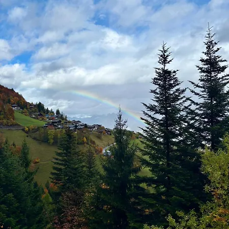 The Beauty Of Torgon Διαμέρισμα Vionnaz