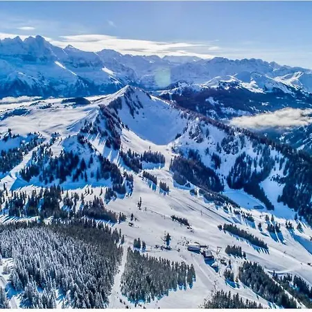 The Beauty Of Torgon Apartment