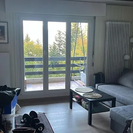 Apartment The Beauty Of Torgon *