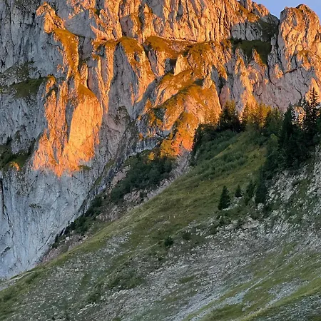 Apartment The Beauty Of Torgon Vionnaz