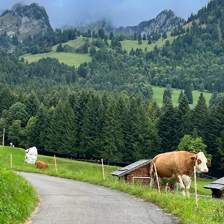 The Beauty Of Torgon Apartment