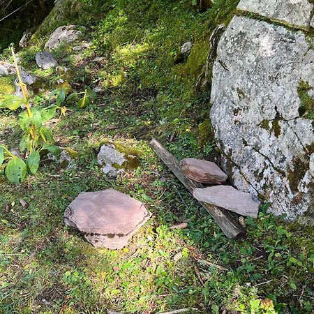 Apartment The Beauty Of Torgon *