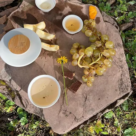 The Beauty Of Torgon Vionnaz