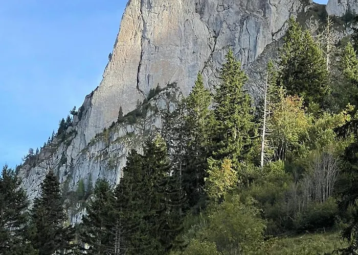 The Beauty Of Torgon *