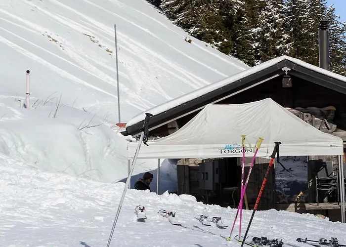 Appartamento The Beauty Of Torgon