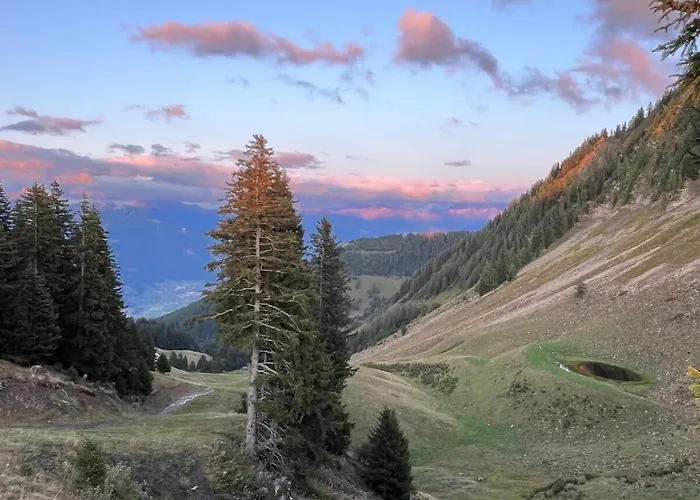 Appartamento The Beauty Of Torgon *