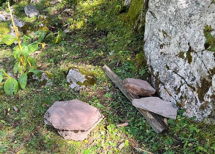 Appartamento The Beauty Of Torgon *