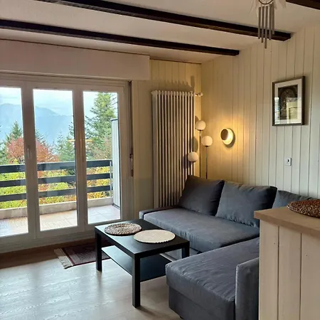 The Beauty Of Torgon Apartment *